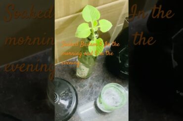 Healthy Snack for toddlers # baby food # recipe#shortvideo #ytshorts #minivlog#healthybabyrecipes