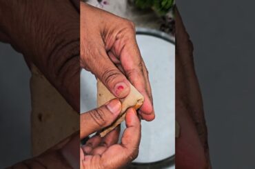 healthy roti samosa  #healthy #healthyrecipes #healthysamosa #samosa #samosarecipe #samosachaat