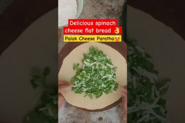 Stuffed Spinach Cheese Paratha Recipe | Healthy Breakfast Idea | Easy Indian Flatbread #shorts  #usa