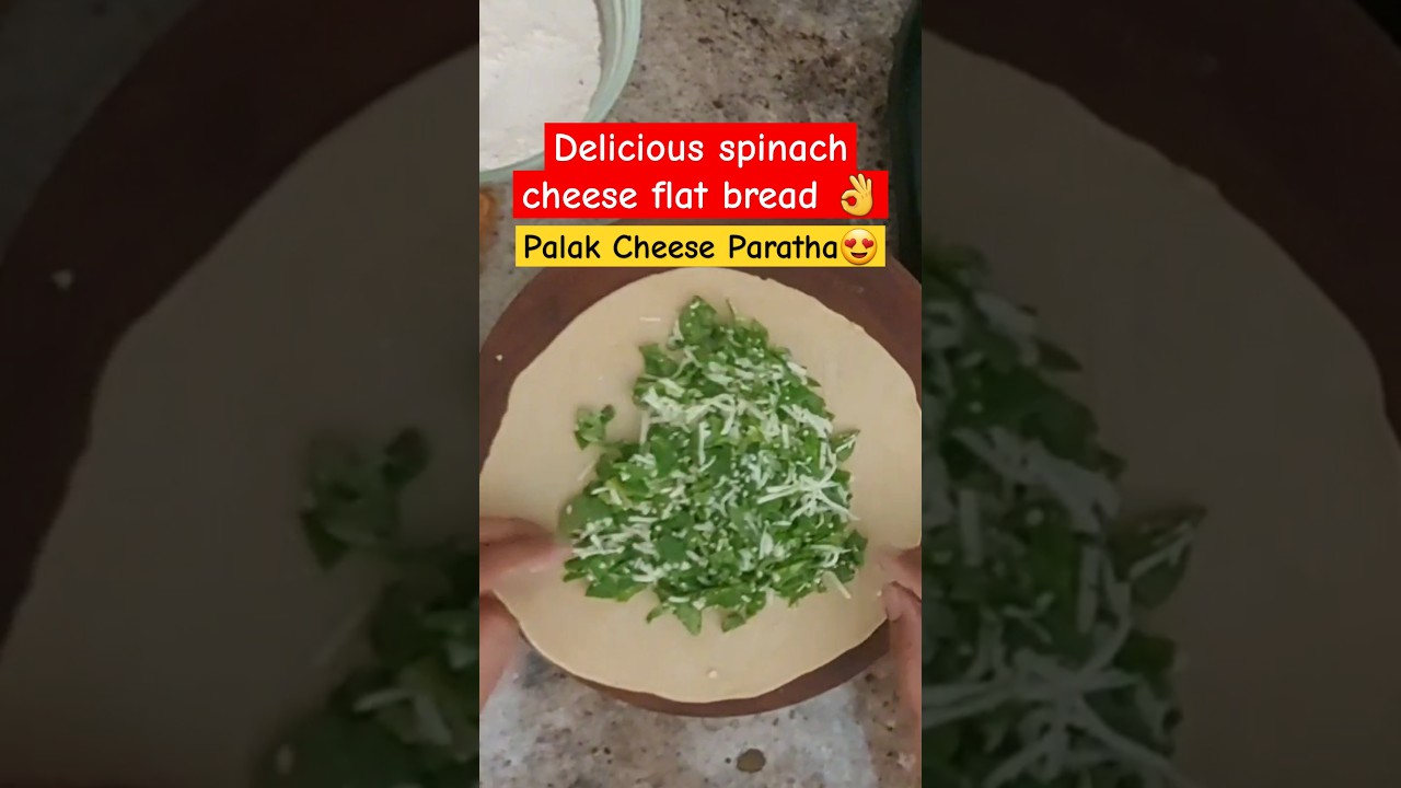 Stuffed Spinach Cheese Paratha Recipe | Healthy Breakfast Idea | Easy Indian Flatbread #shorts #usa Stuffed Spinach Cheese Paratha Recipe | Healthy Breakfast Idea | Easy Indian Flatbread #shorts #usa