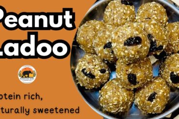 Peanut Ladoo Recipe | Instant Healthy Snacks | Quick High Protein Snacks | No Sugar Laddu
