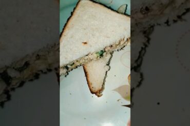 Sandwich recipe||2 min me banne wala healthy breakfast | Nooks #shorts #shortsfeed #ytshorts #nooks