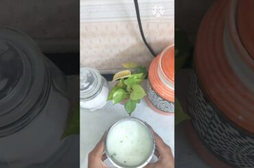 healthy breakfast plate no5/summer breakfast ideas#healthybreakfast#diet #healthy#healthyfood#food