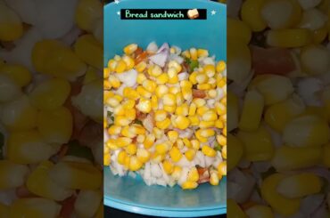 HEALTHY SANDWICH #shorts #sandwich #sandwichrecipe #youtubeshorts#desistylevlog#food #mama #kitchen