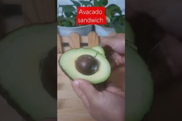 Avacado sandwich, healthy sandwich delight#viralvideo #viralshorts #guacamolerecipe