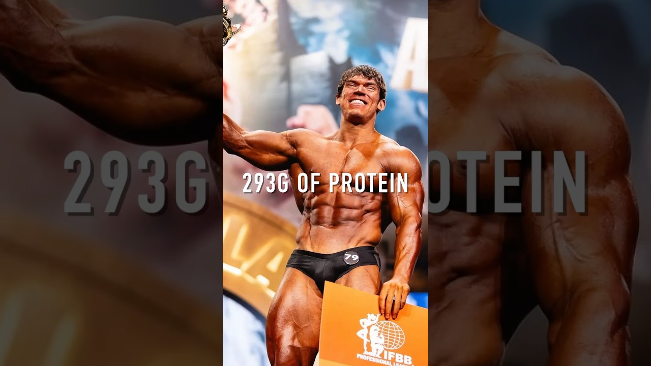293g PROTEIN DIET 293g PROTEIN DIET