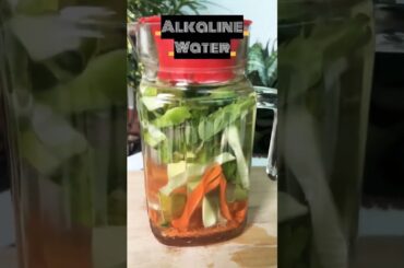 Dr.Manish Ji Recommends Probiotic Drink"Gajar,Khira,Kanji"For Healthy Skin & Gut  #shorts#probiotics