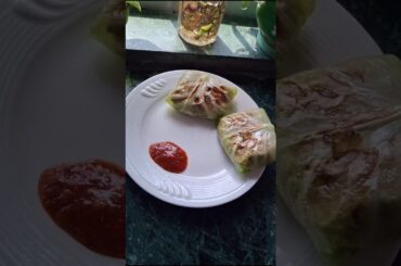 Cabbage Wrap | Healthiest Veg Wrap | #vegwrap #healthy #diet #cookingchannel #recipe #fyp #shorts