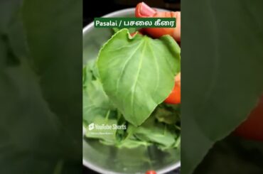 Keerai benefits in tamil | Pasalai Keerai kootu recipe #shorts #healthyrecipes