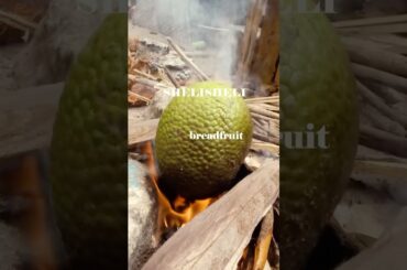 Breadfruit roast and fried #cooking #food #vegan #healthylifestyle #healthy