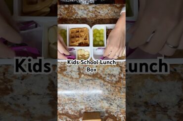 Simple School Lunch Box for Kids#shorts #schoollunchideas #kidslunchbox #lunchbox #schoollunchbox