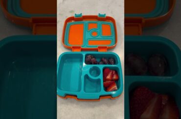 Easy & Healthy lunch ideas for your kids! #easy #healthy #healthylunch #kidslunch #momlife