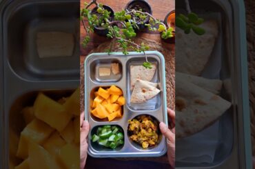 Grade 3 day 7 Healthy lunch box series #sammykalunchbox #youtube #healthyfood #lunchbox