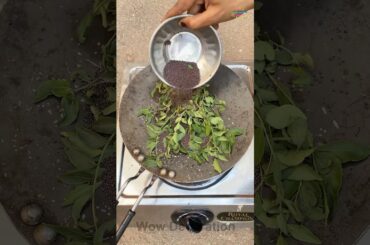 DIY Organic Hair Colour Recipes for Gorgeous, Healthy Hair