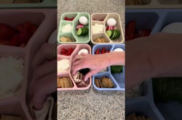 Meal Prep Success: Healthy, High-Protein Lunch Ideas