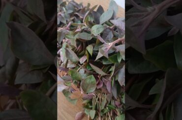 ponnangani keerai parupu kadayal #trendingshorts #food #healthy #recipe #cooking #shorts #trending