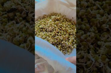 let's make Healthy sprouts #minivlog #viralvideo #health #sprouts #trending #views #homemade#shots