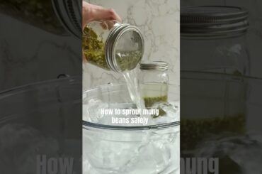 SPROUT YOUR MUNG BEANS @cookingforpeanuts for my new mung bean salad! Sprouting tips & nutrition