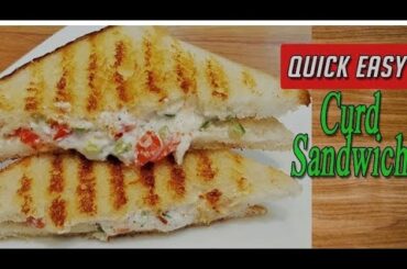 || HOW To MaKe Sandwich With Card || Easy Dahi Sandwich Recipe ||