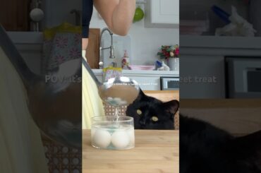 SKINFOOD #cutefood #cat #jello #snacks #healthydessert #recipes