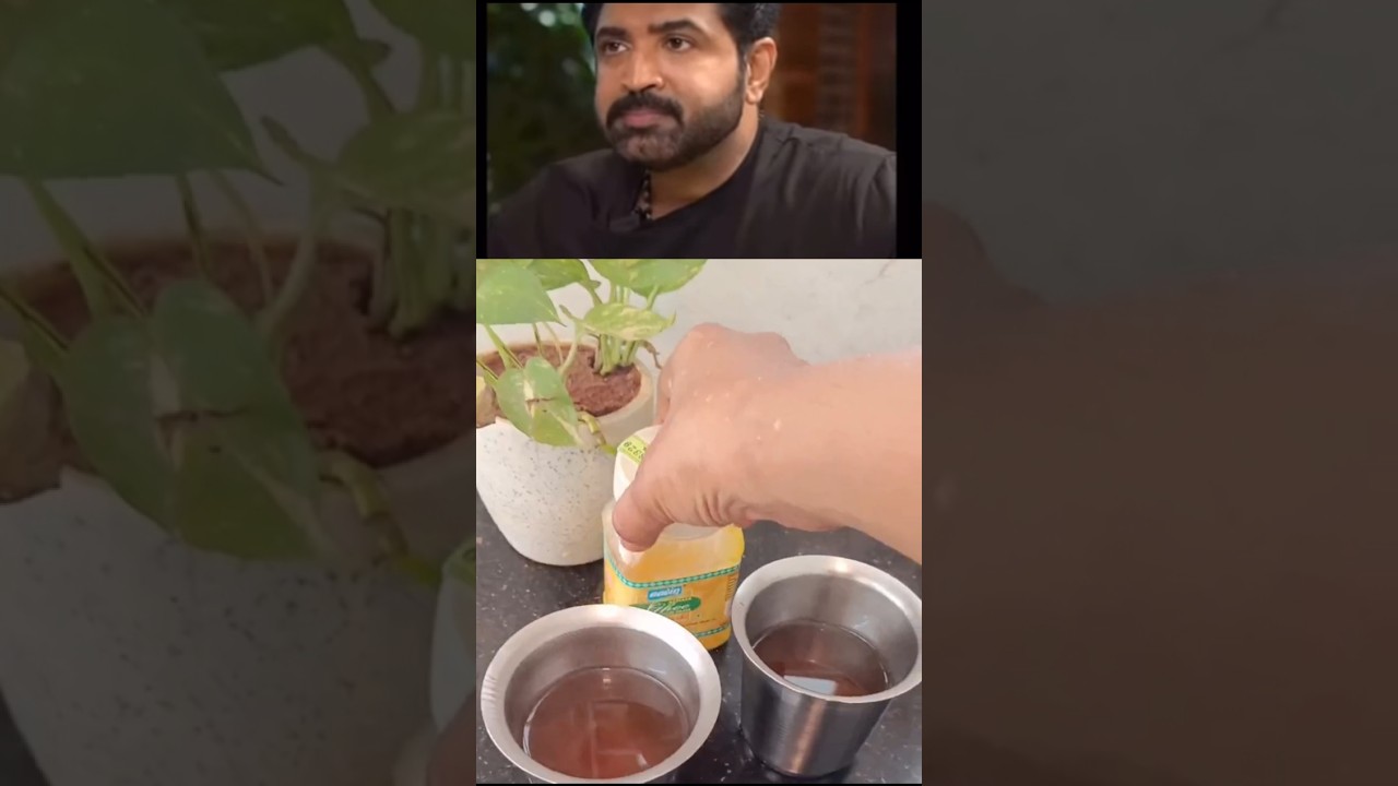 Curry Leaves Benefits for hair growth #tips #curryleaves #shorts #tamil #healthy #trending Curry Leaves Benefits for hair growth #tips #curryleaves #shorts #tamil #healthy #trending