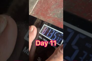 Day 11 Of Weight Loss Series | VRK One Meal Diet | #omad #ytshorts #ghee #cooking #recipe