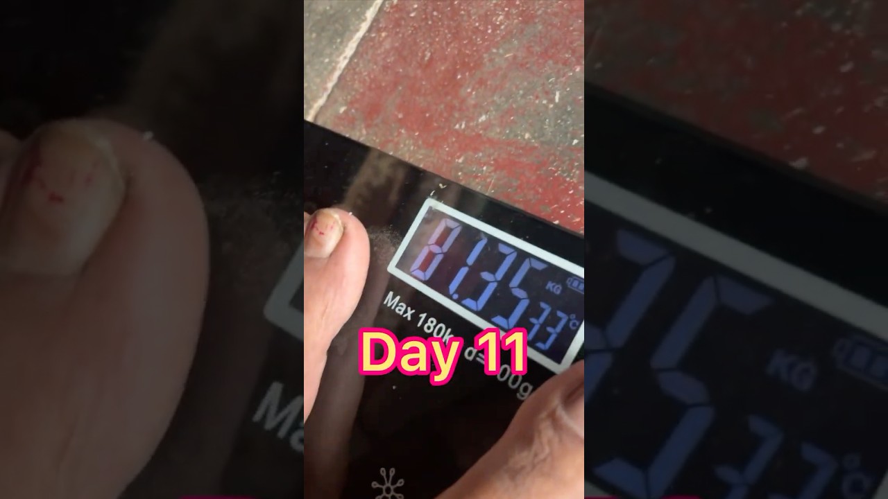 Day 11 Of Weight Loss Series | VRK One Meal Diet | #omad #ytshorts #ghee #cooking #recipe Day 11 Of Weight Loss Series | VRK One Meal Diet | #omad #ytshorts #ghee #cooking #recipe