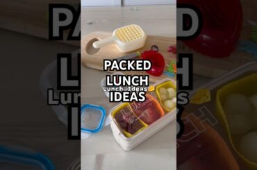 Packed Lunch Ideas for Adults or Kids (Preppyy of course!)