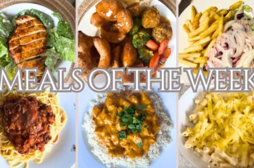 Family Meals Of The Week | Healthy Dinner Ideas | #mealsoftheweek #familymeals #cooking #cleaneating