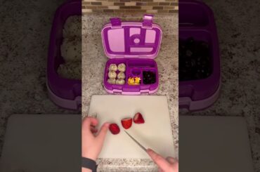 Healthy Lunch Ideas for Little Ones! #bentgokids