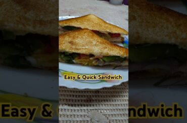#healthy omlette Sandwich #breakfastrecipe  #morningroutine #ytstudio #shortvideo #padhuvlogs-9
