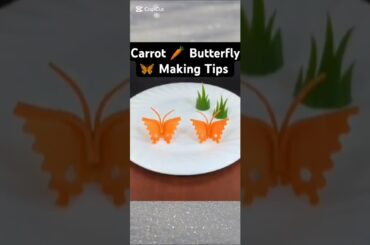 Super Salad Decoration Ideas of Carrot butterfly Making and Salad Dressing #healthyfood #greensalad