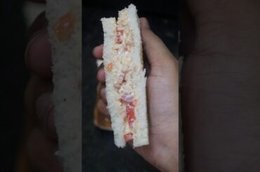 Healthy Sandwich Recipe #shorts #cooking #viralvideo #youtubeshorts #satisfying #foodvlog #yt