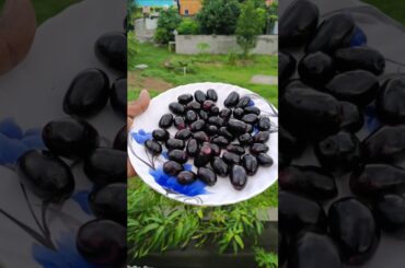 JAMUN FRUIT ||| NAGAPAZHAM  #food #healthy #shorts #recipe #cooking #tiktok