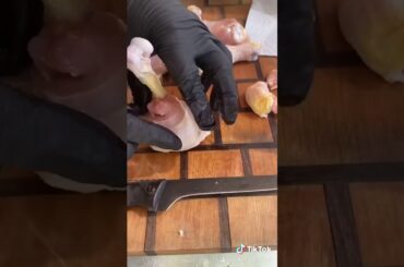 Appetizers on the Masterbuilt outdoor air fryer.