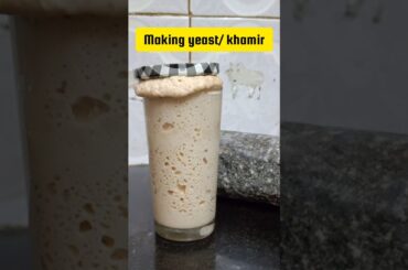 Yeast making Episode 3: bread making gets easier #shortsfeed