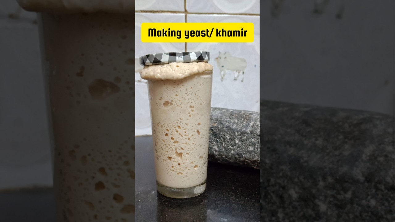 Yeast making Episode 3: bread making gets easier #shortsfeed Yeast making Episode 3: bread making gets easier #shortsfeed