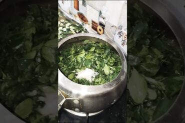 moringa leaves recipe benefits #healthy #drumsticks #moringa #ytshorts #superfood