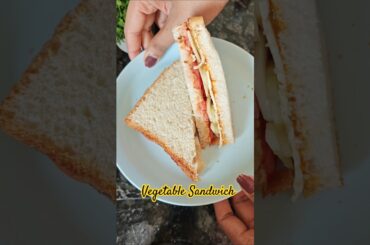 Sandwich recipe| simple healthy vegetable sandwich #food #sandwich #sandwichrecipe #youtubevideo