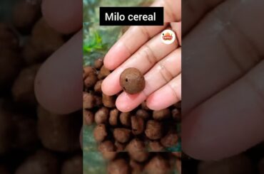 Homemade Milo  Cereal Balls Recipe | Chocolate Cereal for Kids | Healthy Breakfast Recipe