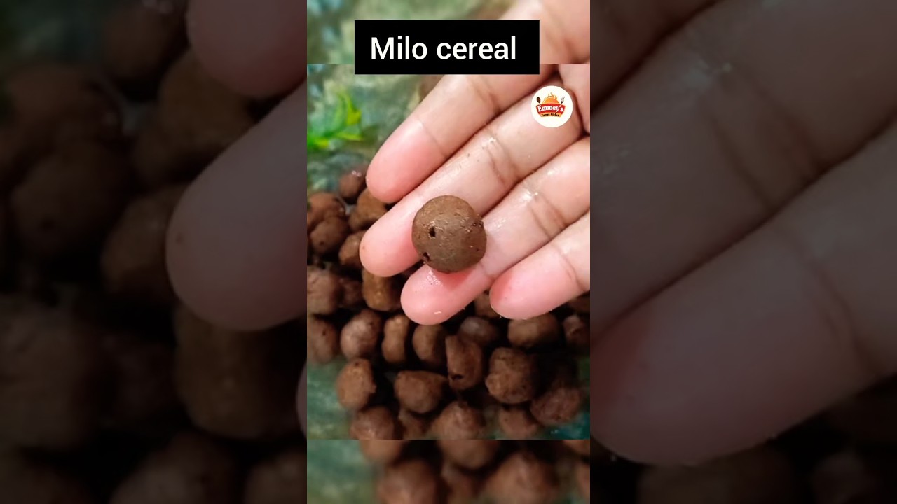 Homemade Milo Cereal Balls Recipe | Chocolate Cereal for Kids | Healthy Breakfast Recipe Homemade Milo Cereal Balls Recipe | Chocolate Cereal for Kids | Healthy Breakfast Recipe