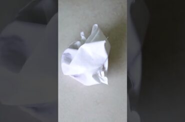 How to Make Good Long Sprouts