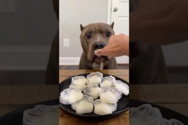 Healthy & easy to make dog treats