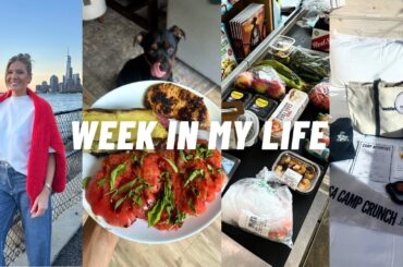 Dietitian's Grocery haul, healthy dinner recipes, BTS of a brand trip (w/ Dylan Efron!!)