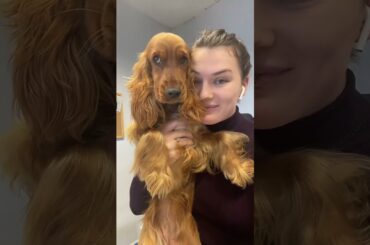 Running Playlist & Healthy Recipes #healthyrecipes #lowcalorie