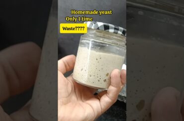 yeast making Episode 11: Homemade yeast waste or worth? #shortsfeed