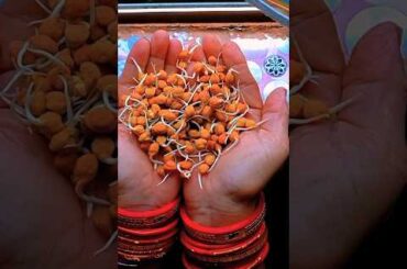 Akshay Kumar’s Favourite Healthy Salad Recipe #shorts#ytshots#youtubeshorts #food#food #shorts