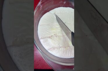 #coconut #milk #pudding #wow #yummy #food #special #cooking #wow #healthy