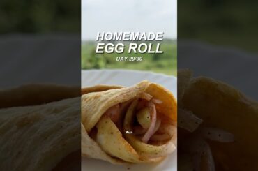 High Protein Egg Roll | 18g Protein