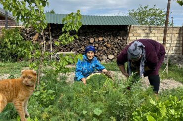 Azerbaijani Traditional Sabzi Pilaf Recipe | Rich Meal with Healthy Herbs
